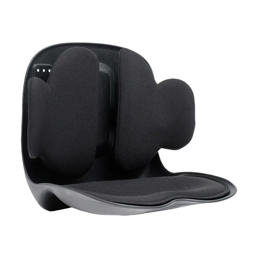 پشتی طبی نشیمنی گرین لاین Green Lion Lumbar Pro Adjustable Back Support